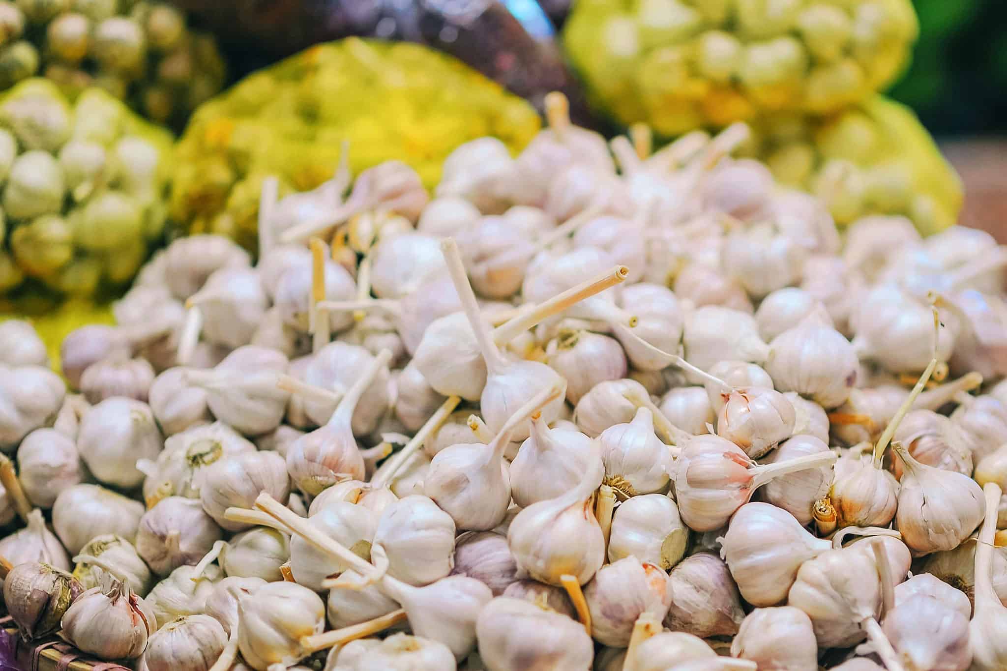 garlic festival toronto