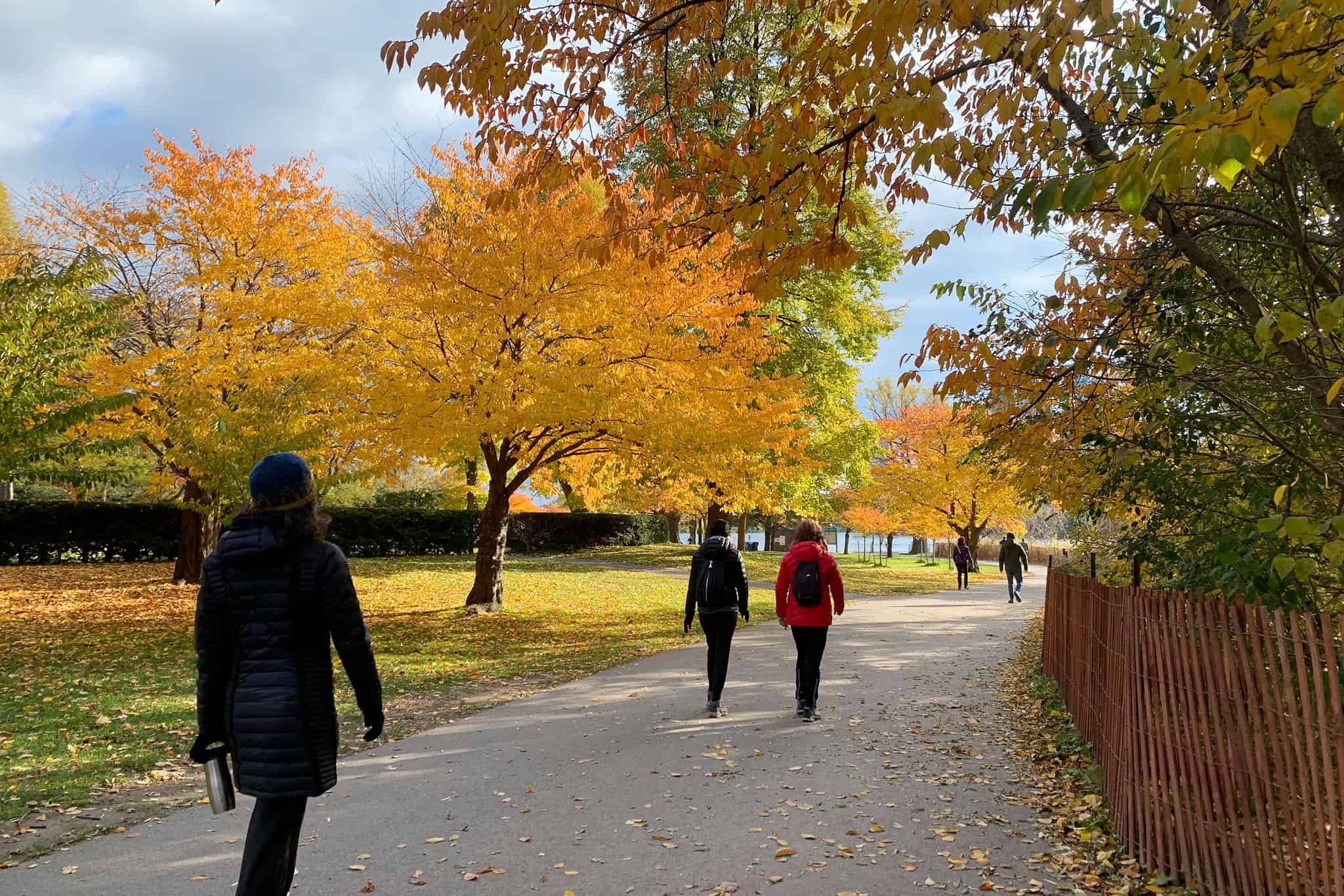 high park toronto