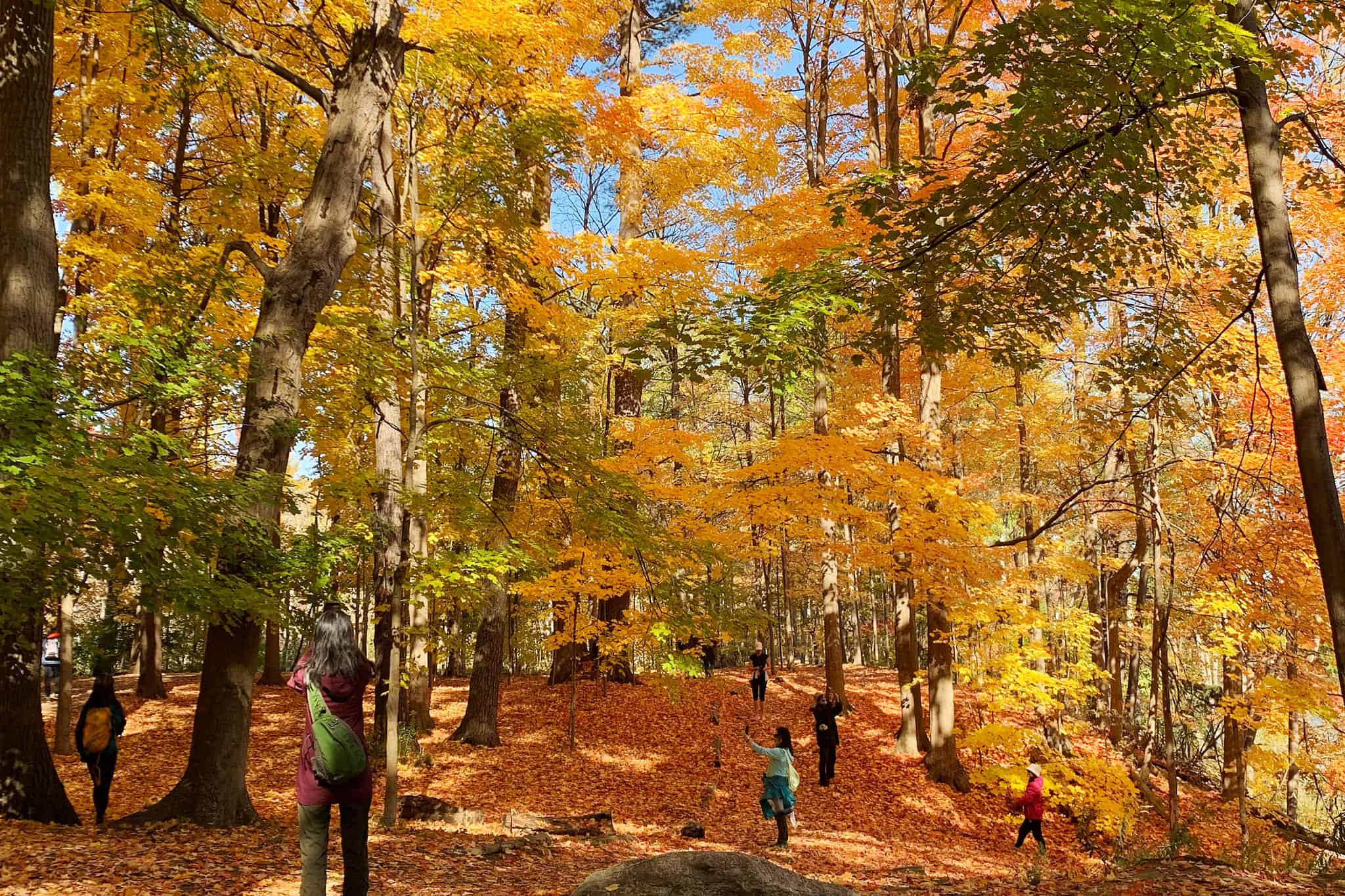 humber trail