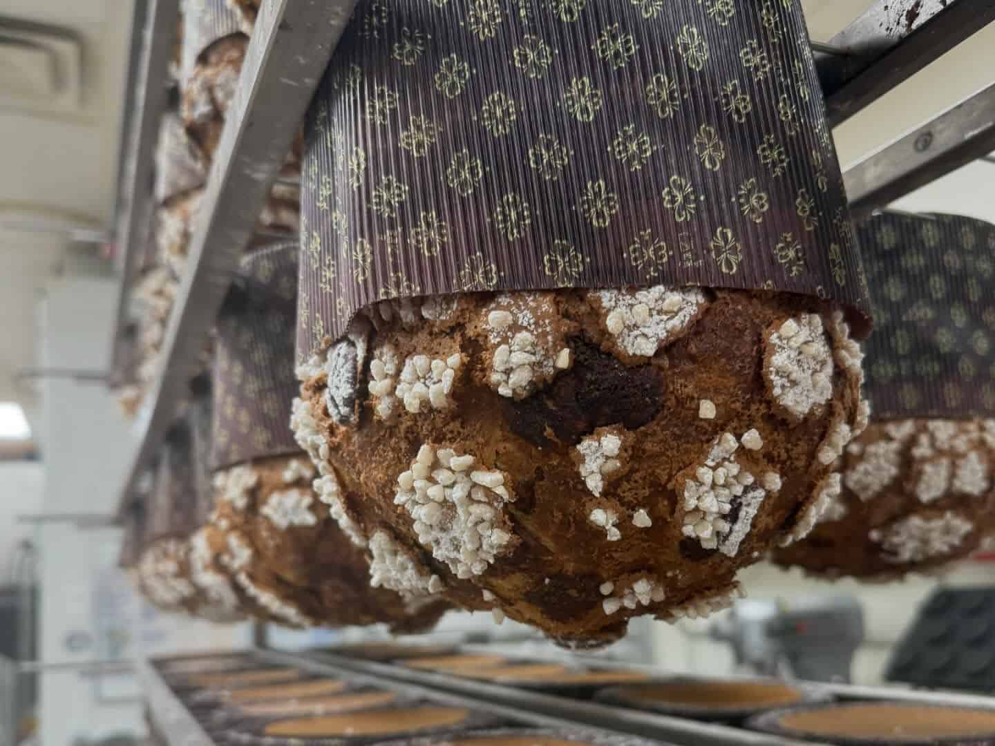 panettone toronto