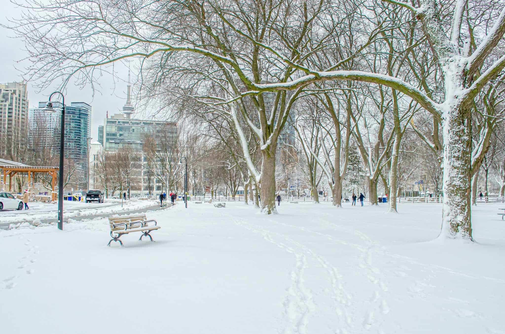 Boxing Day Dec. 26 In Toronto: What's Open And Closed - YourCityWithIN.com