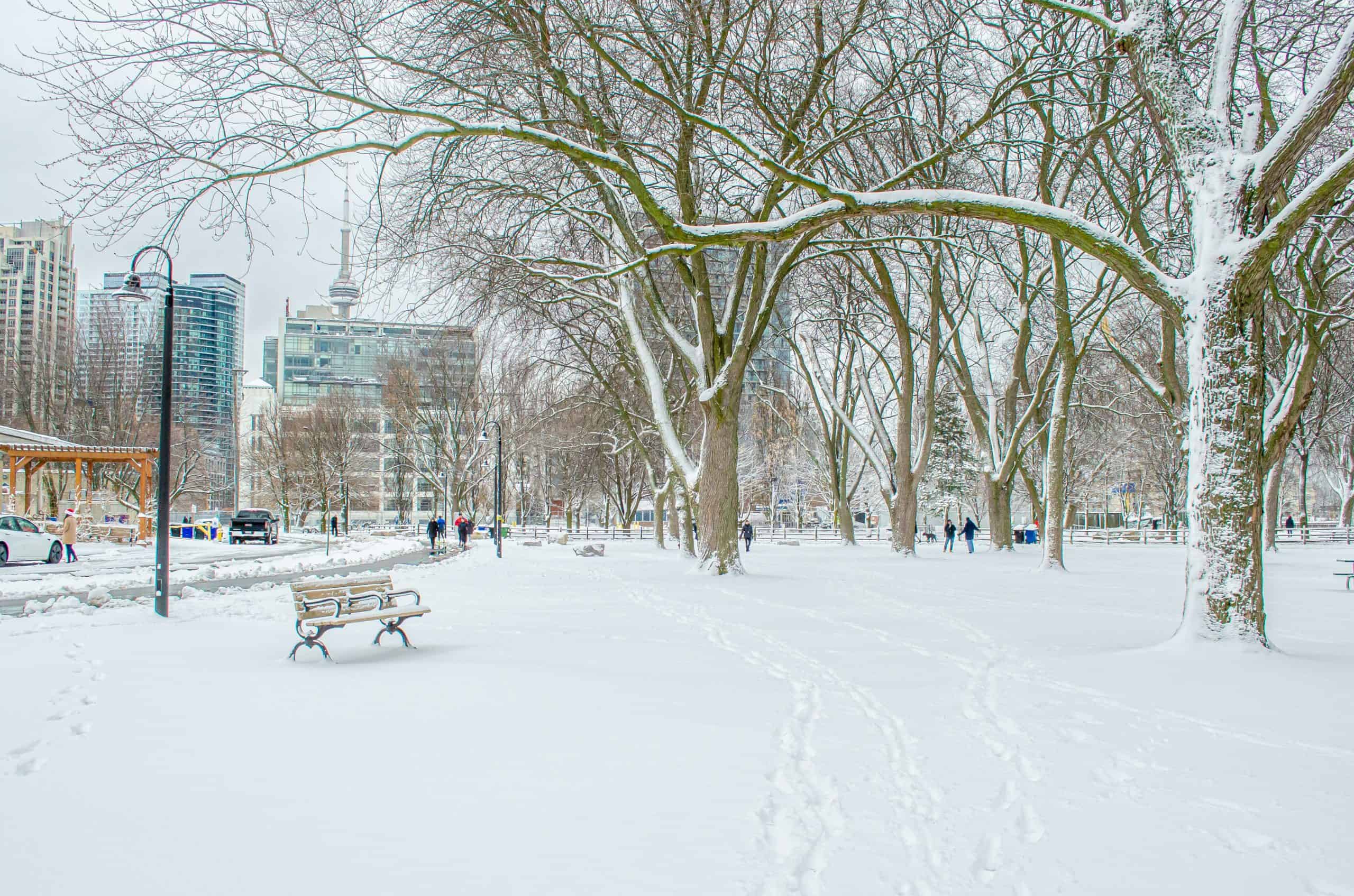 open closed boxing day 2024 toronto