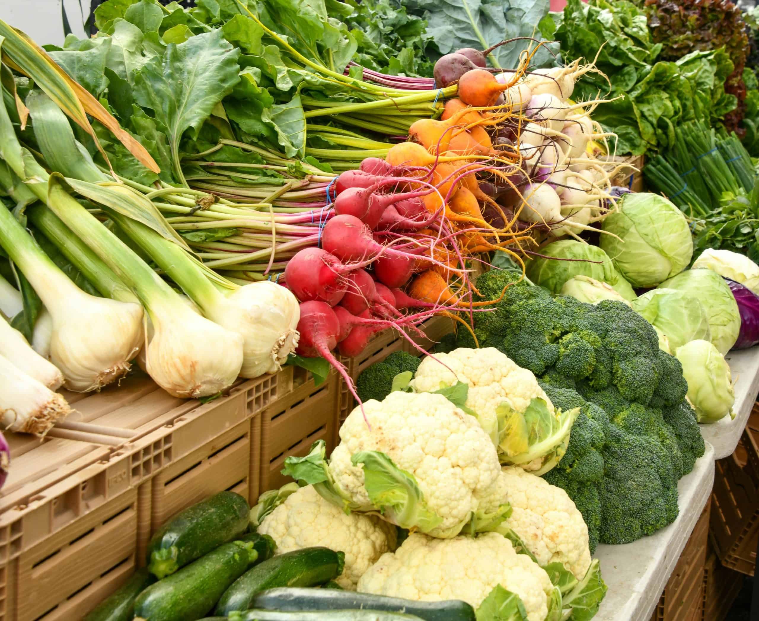 harbourfront farmers market toronto